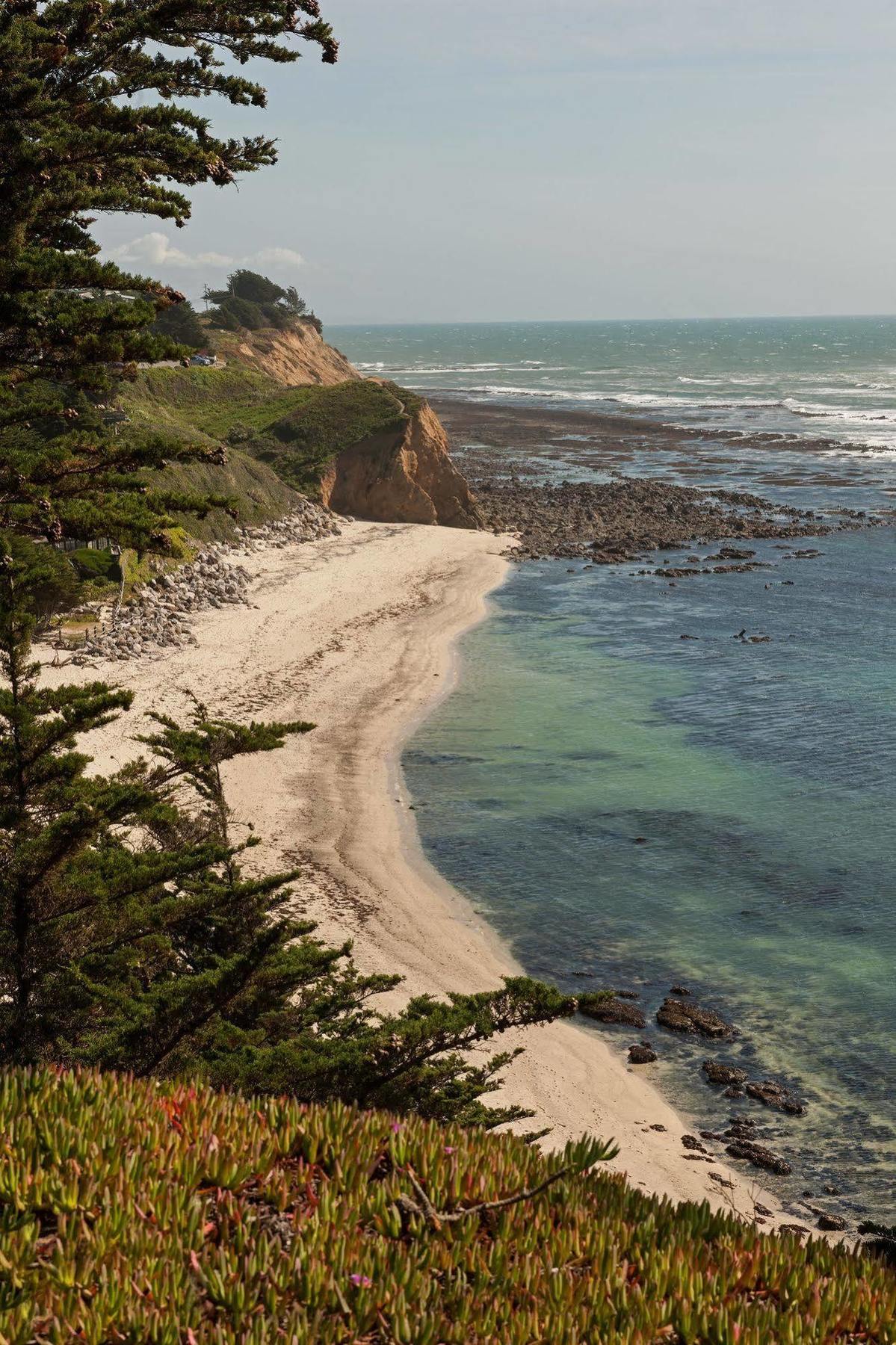 Seal Cove Inn Moss Beach Exteriör bild