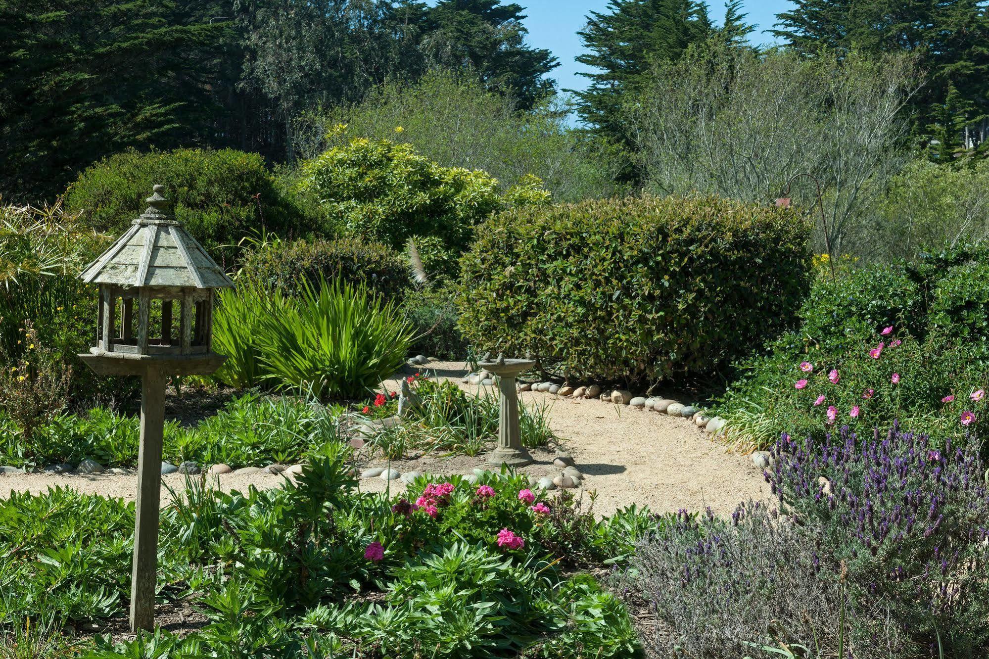 Seal Cove Inn Moss Beach Exteriör bild